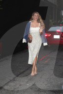 Blake Lively Attends Chanel Artists Dinner At Tribeca Festival