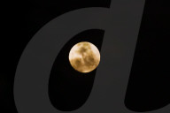 Strawberry Moon In Indonesia