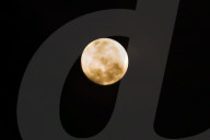 Strawberry Moon In Indonesia