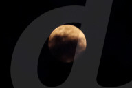 Strawberry Moon In Indonesia