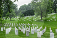 The Silent Strength Of Arlington