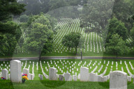 The Silent Strength Of Arlington