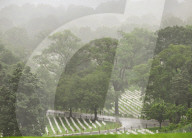 The Silent Strength Of Arlington