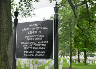 The Silent Strength Of Arlington