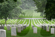 The Silent Strength Of Arlington