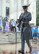 The Silent Strength Of Arlington
