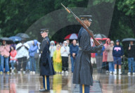 The Silent Strength Of Arlington