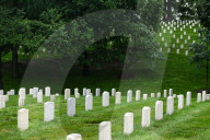 The Silent Strength Of Arlington