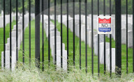 The Silent Strength Of Arlington
