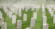 The Silent Strength Of Arlington