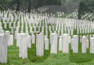 The Silent Strength Of Arlington