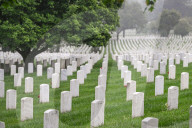 The Silent Strength Of Arlington