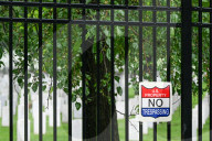 The Silent Strength Of Arlington