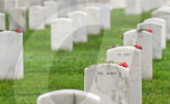 The Silent Strength Of Arlington