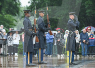 The Silent Strength Of Arlington