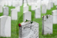 The Silent Strength Of Arlington