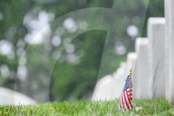 The Silent Strength Of Arlington