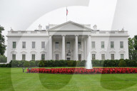 Daily Life In Washington D.C.