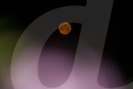 Strawberry Moon In Kashmir, India