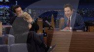 Orlando Bloom's puppy love
