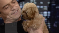 Orlando Bloom's puppy love