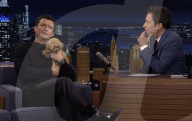 Orlando Bloom's puppy love