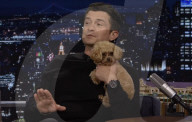 Orlando Bloom's puppy love