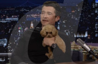 Orlando Bloom's puppy love