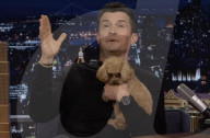 Orlando Bloom's puppy love