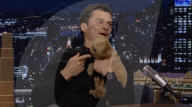 Orlando Bloom's puppy love