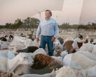 Trump hates wind power. But these Texas Republicans are embracing it. John Davis