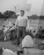 Trump hates wind power. But these Texas Republicans are embracing it. John Davis