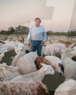 Trump hates wind power. But these Texas Republicans are embracing it. John Davis