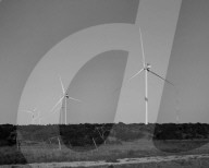 Trump hates wind power. But these Texas Republicans are embracing it. John Davis