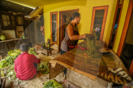 Climate Change Leads To Lower Tobacco Prices In Sumedang, Indonesia