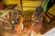 Climate Change Leads To Lower Tobacco Prices In Sumedang, Indonesia