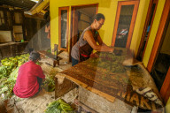 Climate Change Leads To Lower Tobacco Prices In Sumedang, Indonesia