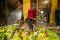 Climate Change Leads To Lower Tobacco Prices In Sumedang, Indonesia