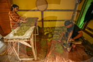 Climate Change Leads To Lower Tobacco Prices In Sumedang, Indonesia