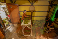 Climate Change Leads To Lower Tobacco Prices In Sumedang, Indonesia