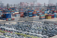 Chinese-made EV Export Growth
