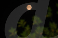  June's Full Moon -  Strawberry Moon