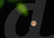  June's Full Moon -  Strawberry Moon