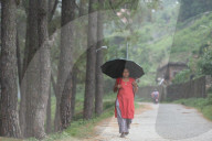 Rain In Nepal
