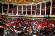 Questions To The French Government At The National Assembly