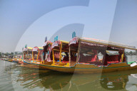 Shikara Race To Attract Tourists And Promote Tourism In Kashmir