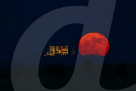 Strawberry Full Moon