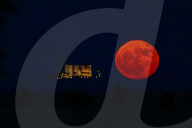 Strawberry Full Moon