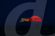Strawberry Full Moon