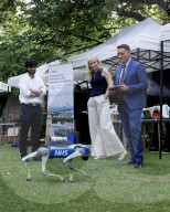 Prime Minister Keir Starmer hosts London Tech Week Reception